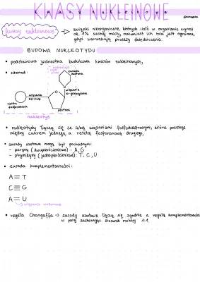 Budowa i Funkcje Kwasów Nukleinowych: Ściąga dla Dzieci