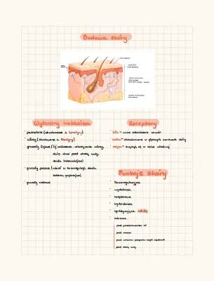 Budowa i funkcje skóry - Klasa 7: Notatka, PDF, Testy, i Prezentacja
