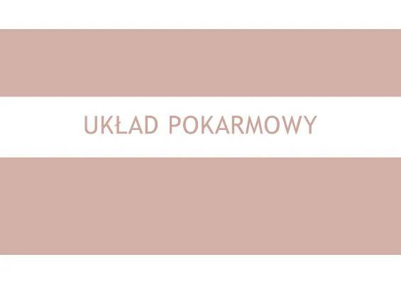 Układ Pokarmowy Człowieka Prezentacja PDF - Budowa, Funkcje, Choroby