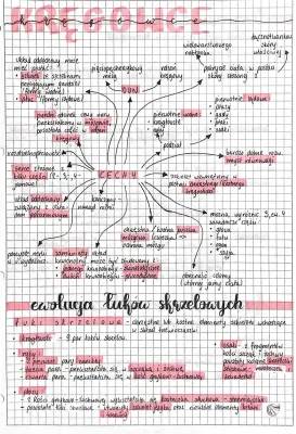 Cechy kręgowców i bezkręgowców | Notatka i tabela