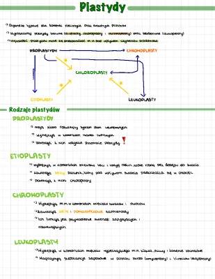 Plastydy i Fotosynteza: Jak Działa Świat Roślin