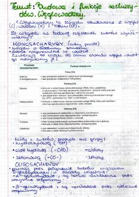 Budowa i Funkcje Sacharydów: Cukry w Naszym Świecie