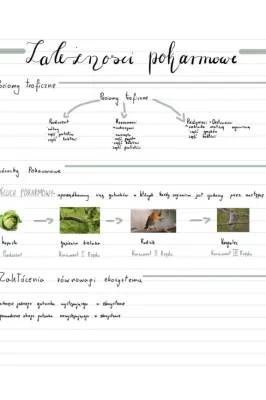 Notatki biologia klasa 8 Nowa Era - Ekologia, materia i energia w ekosystemie, sukcesja