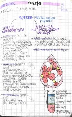 Budowa i Funkcje Krwi dla Klasy 7 - Prezentacja