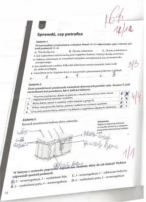 Test z biologii klasa 7: Puls Życia, Nowa Era, Tkanki i Skóra