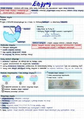 Budowa i działanie enzymów - prezentacja i testy