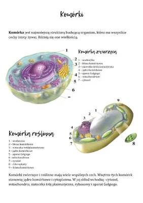 Notatki z Biologii klasa 5 - Dział 3 i 4, Czynności Życiowe, Budowa Komórek, Różnice Komórkowe