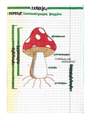 Biologia Grzyby i Porosty Klasa 5 - Testy i Kartkówki