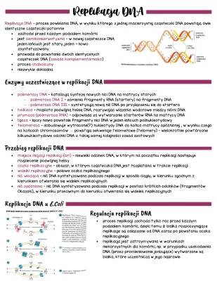 Replikacja DNA: Etapy, Przebieg i Znaczenie