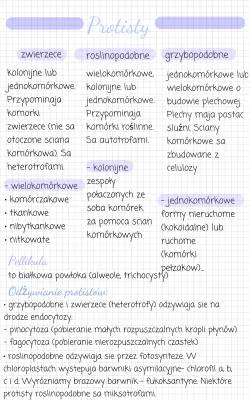 Różnorodność Prokariontów, Protistów, Grzybów i Porostów - Sprawdzian i Notatki Klasa 5