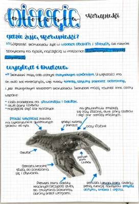 Jakie są Skorupiaki i Stawonogi? - Budowa, Przykłady i Znaczenie