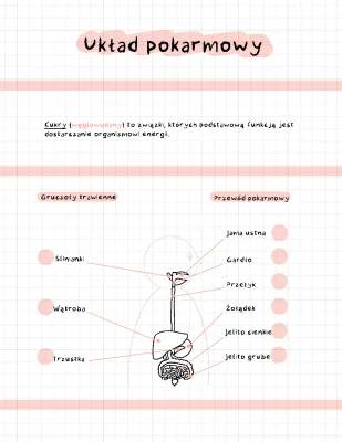 Układ Pokarmowy: Budowa i Funkcje dla Dzieci