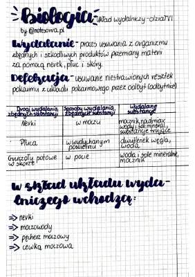 Układ wydalniczy klasa 7 - Sprawdzian, Powtórzenie, Testy PDF