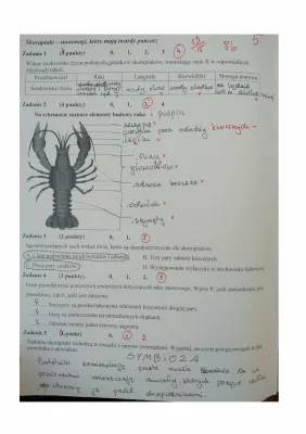 Skorupiaki i Stawonogi Test PDF - Biologia Klasa 6