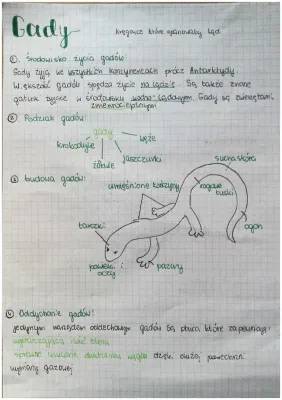 Gdzie żyją gady i jakie znane gady spotkasz w Polsce?