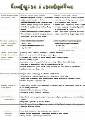 Wyż demograficzny i przyrost naturalny w Polsce - Geografia 101