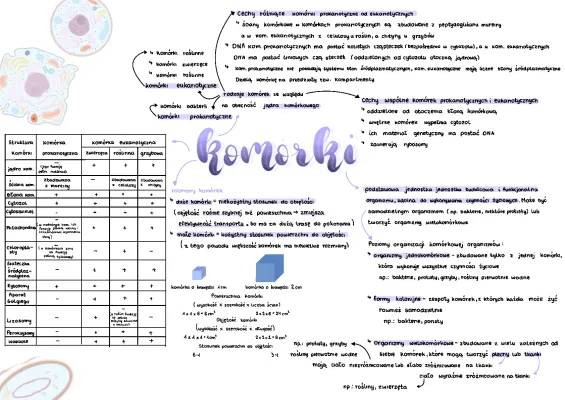 Budowa komórek prokariotycznych i eukariotycznych