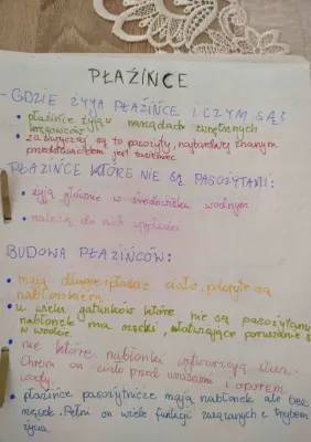 Płazińce - Budowa, Przedstawiciele i Jak Sprawdzić Czy Mam Pasożyty