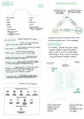 Substancje i ich przemiany - Sprawdzian PDF (Chemia Klasa 7 Nowa Era)