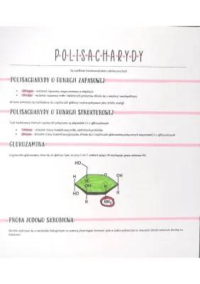 Polisacharydy: Budowa, Właściwości i Przyklady - Sacharoza i Wzór