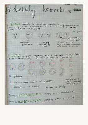 Podziały Komórkowe Klasa 8 - Mitoza i Mejoza Notatka