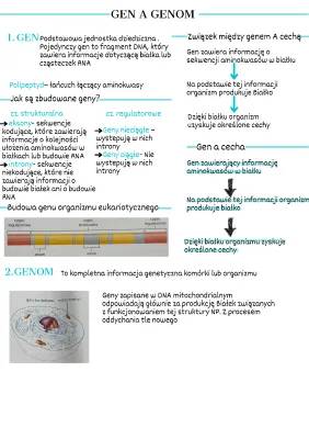 Budowa DNA, RNA i Genów - Prosta Biologia dla Dzieci