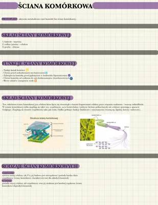 What Plant Cell Walls Are Made Of and How They Work