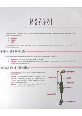 Gametofit Mszaków i Mchów: Czym Jest i Jak Działa