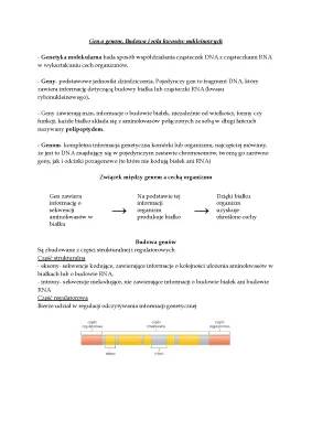 Budowa i rola kwasów nukleinowych - Geny i genomy