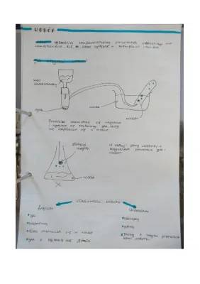 Wodór chemia klasa 7: Właściwości fizyczne i chemiczne, otrzymywanie i zastosowania