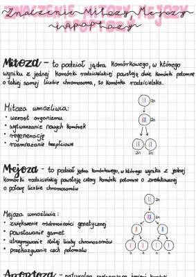 Znaczenie i Etapy Mitozy i Mejozy – Przebieg, Fazy i Apoptoza