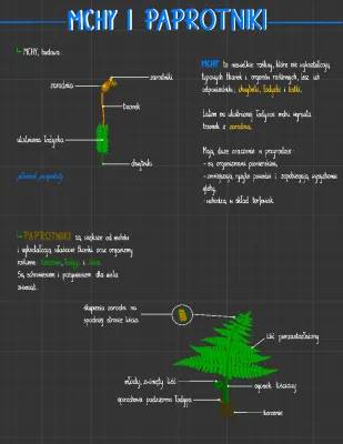 Mchy i Paprotniki Klasa 5 - Budowa i Znaczenie