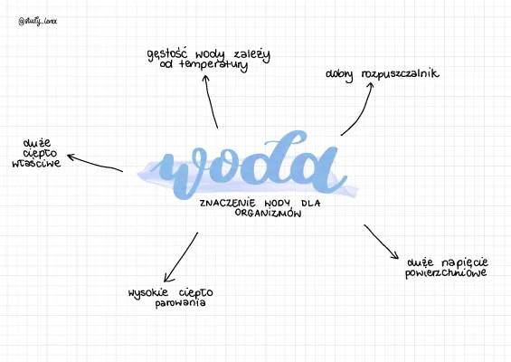 Znaczenie Wody: Dlaczego Jest Ważna dla Nas i Przyrody?