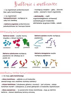Bakterie i archeowce 