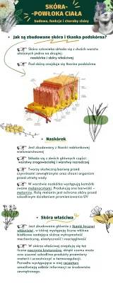 Budowa i funkcje skóry - Klasa 7, choroby i higiena skóry, tkanka podskórna