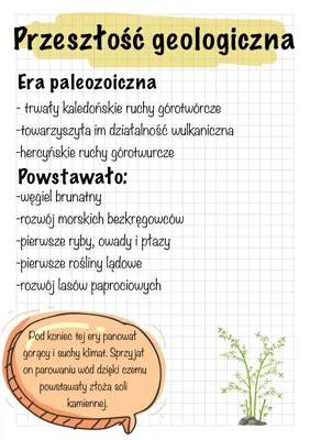 Ciekawe czasy geologiczne: od paleozoiku do kenozoiku w Polsce