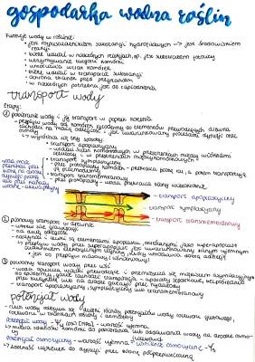 Gospodarka wodna roślin - Notatka BiologHelp PDF