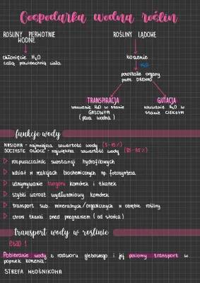 Gospodarka wodna roślin - Notatka i zadania maturalne