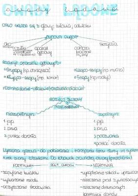 Biologia- Owady- organizmy typowo lądowe 