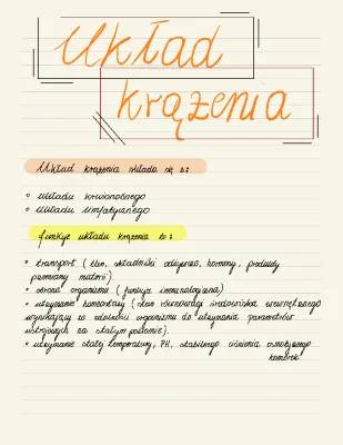 Układ Krwionośny dla Dzieci: Budowa, Funkcje i Ciekawostki