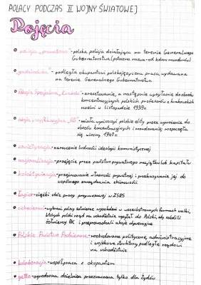 Policja granatowa w II wojnie światowej - co to znaczy?