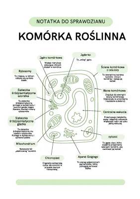 Budowa Komórki Roślinnej i Zwierzęcej: Wszystko o Rybosomach i Mitochondriach