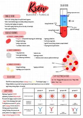 Blood Magic: Types, Functions, and Why Blood Groups Matter