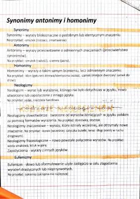 Synonimy, Antonimy i Homonimy - Karta Pracy Klasa 8 i 7, Sprawdzian PDF