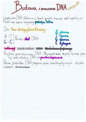 Budowa i Funkcje DNA - Genetyka Klasa 8