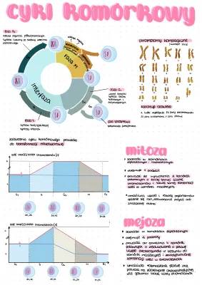 Mitoza i Mejoza: Proste Wytłumaczenie Podziału Komórek