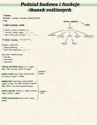 Tkanki roślinne: Rodzaje, Budowa i Funkcje - Klasa 5