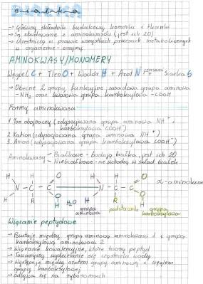 Czym są aminokwasy i białka? Jak działają w twoim ciele!