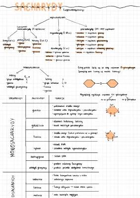 Budowa i funkcje sacharydów: Monosacharydy, oligosacharydy, podział i wykrywanie