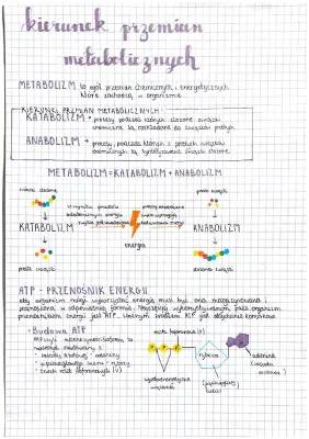 Metabolizm: Kierunki przemian, prezentacja, sprawdzian, notatki PDF dla klasa 1 liceum